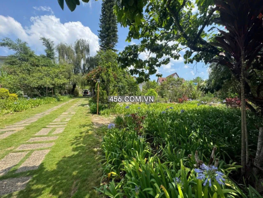 Cho thuê mặt bằng đường Nguyễn Du Đà Lạt khu...