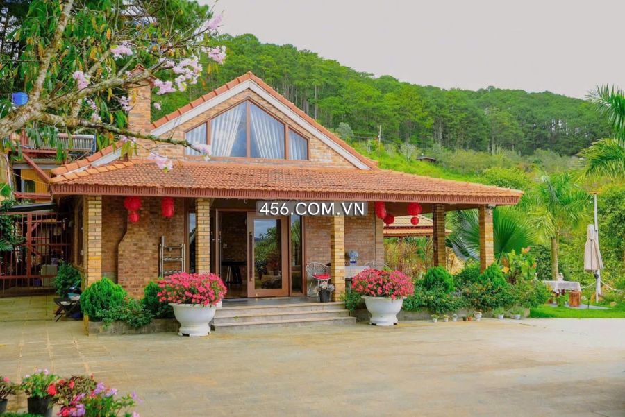 Cho thuê mặt bằng đèo Pren Đà Lạt 7000m2 45...