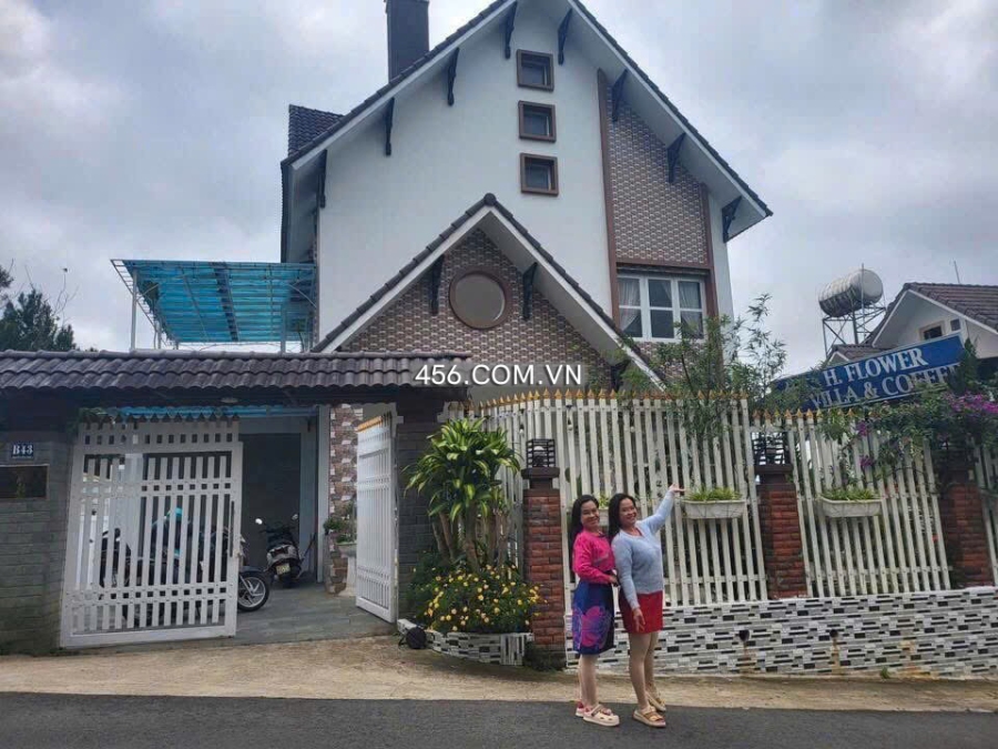 Luxury Villas Nguyen Huu Canh st For Rent Da...