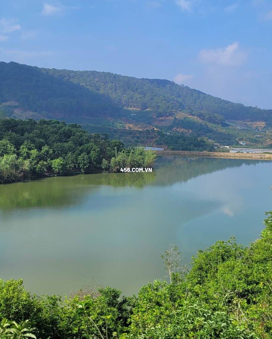 Hinh-Bán đất thị xã Xuân Trường  Đà Lạt view hồ và rừng tuyệt đẹp