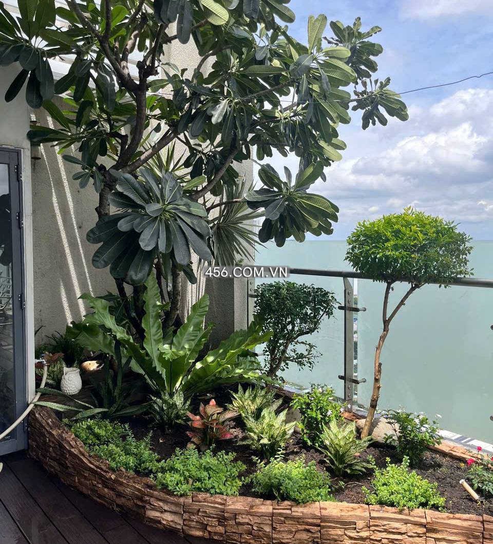 Hinh-Penthouse Masteri Thao Dien Apartment For Lease RiverView