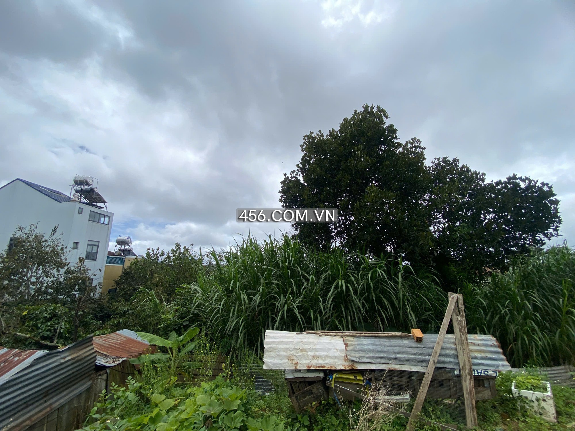 Cho thuê mặt bằng Nguyễn Trung Trực Đà Lạt...