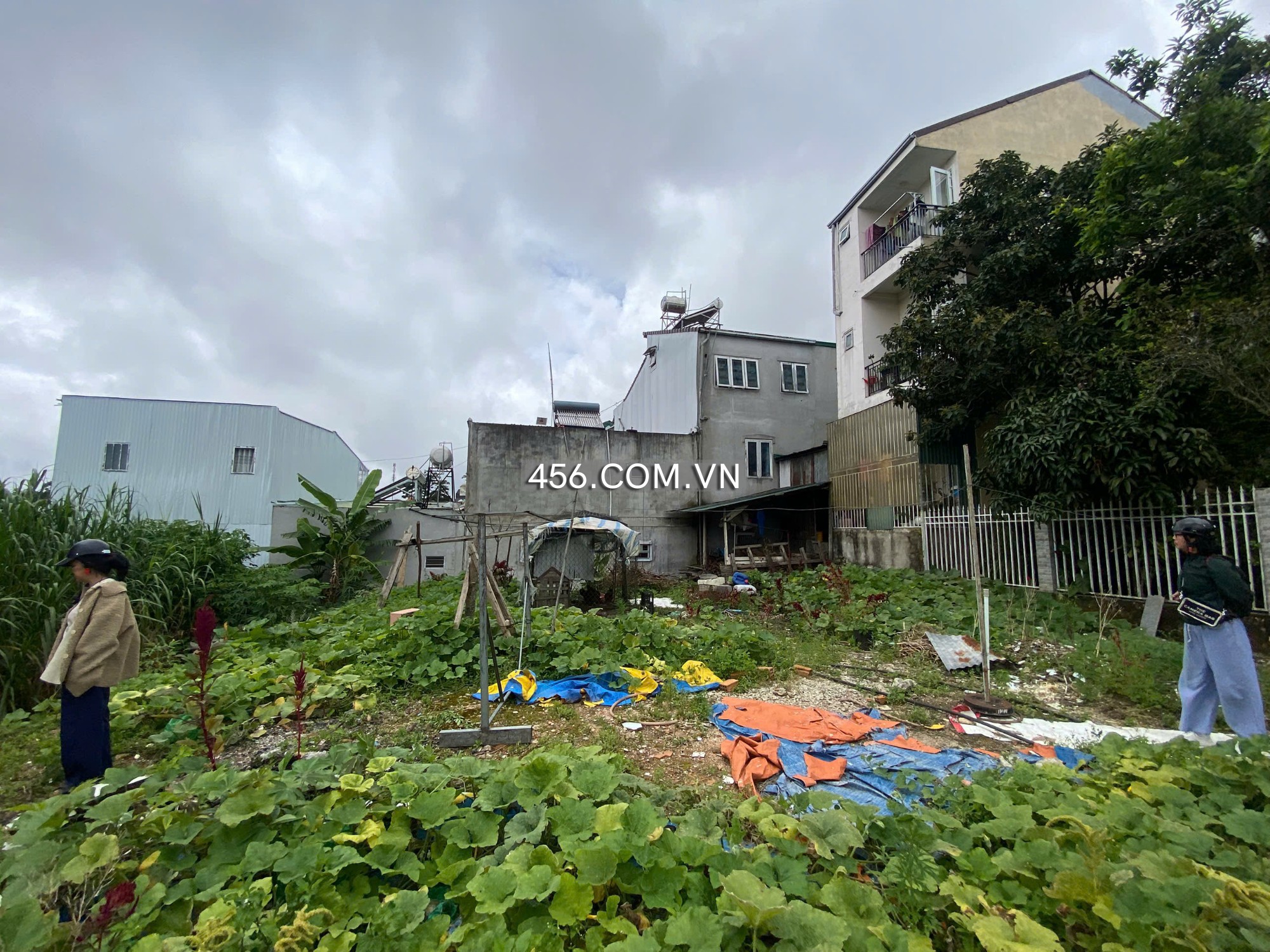 Hinh-Cho thuê mặt bằng Nguyễn Trung Trực Đà Lạt view Hồ Tuyền Lâm