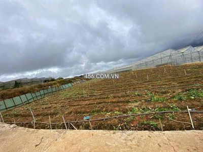 Bán đất đẹp Đường An Sơn Phường 4 Đà Lạt 700...