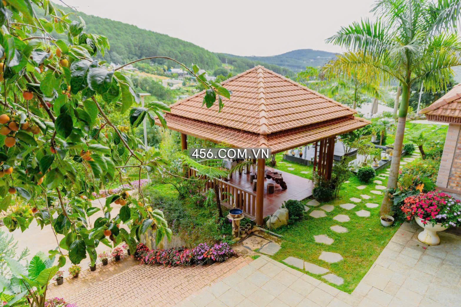 Hinh-Cho thuê mặt bằng đèo Pren Đà Lạt 7000m2 45 triệu kinh doanh