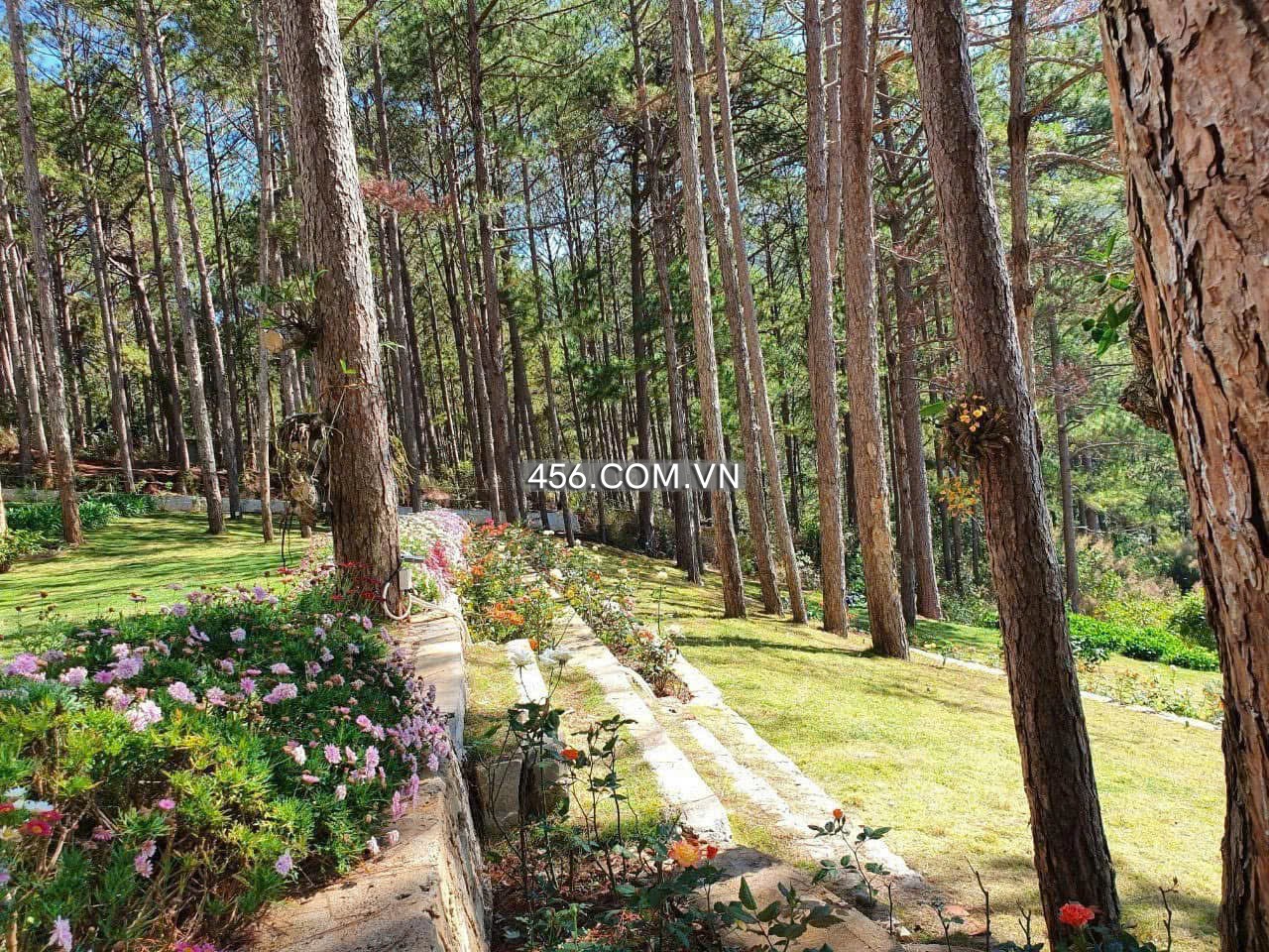 Hinh-Cho thuê tòa khách sạn ngay Hồ Tuyền Lâm Đà Lạt 40 phòng