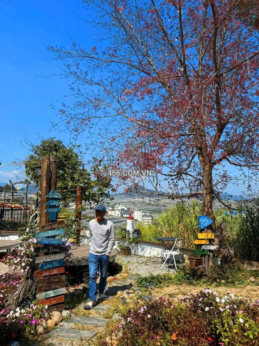 Hinh-Cho thuê mặt bằng homestay đường Sào Nam Đà Lạt đẹp