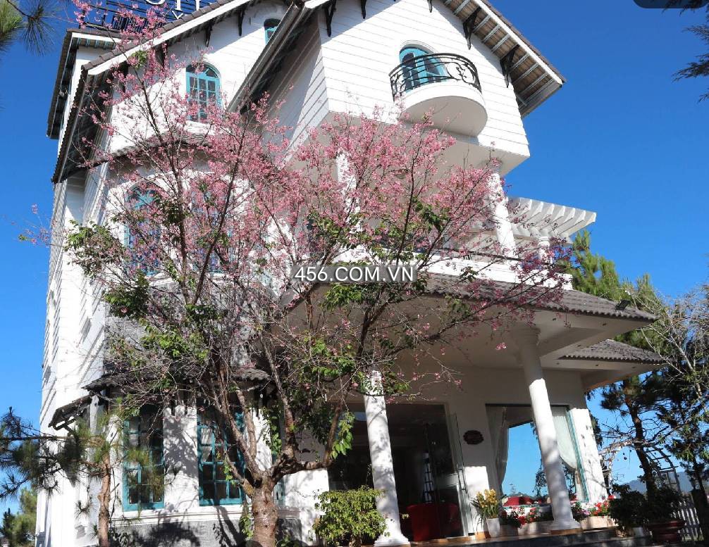 Hinh-Cho thuê mặt bằng Villa khách sạn đường Trần Đại Nghĩa Đà Lạt