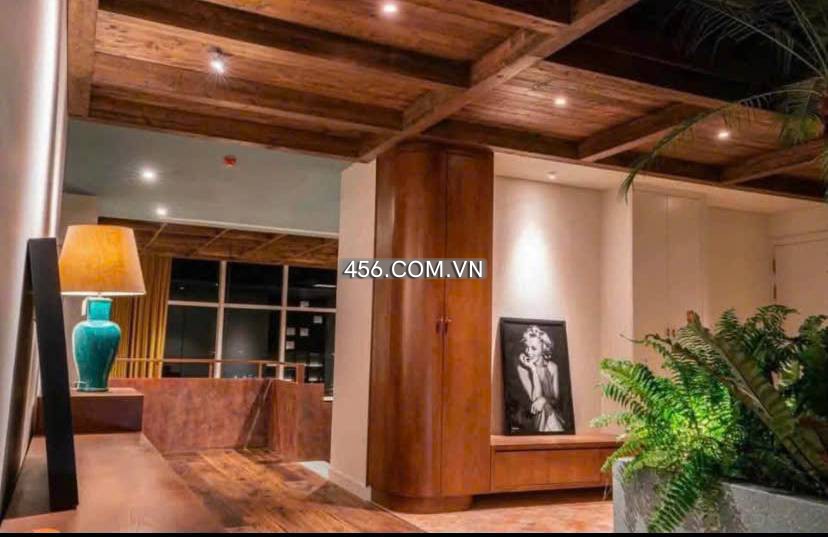Hinh-Penthouse Vista Verde Apartment For Lease and Sale Morden Style